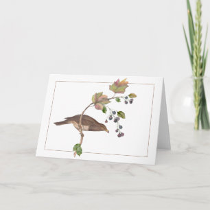 Brown Bird on a Colourful Blackberry Branch Card