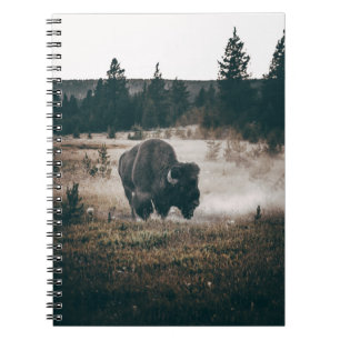 BROWN BISON ON BROWN GRASS FIELD DURING DAYTIME NOTEBOOK
