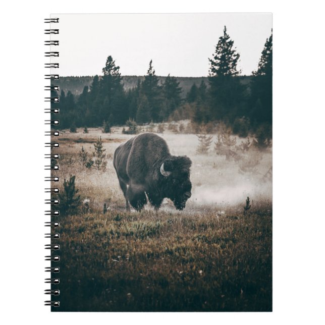 BROWN BISON ON BROWN GRASS FIELD DURING DAYTIME NOTEBOOK (Front)