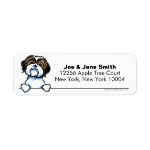 Brown Blanc Chih Tzu Propre et Simple
