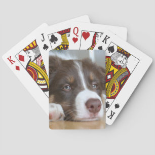 Brown Border Collie Dog Playing Cards
