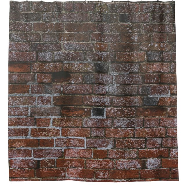 Brown brick wall (Front)