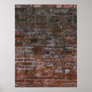 Brown brick wall poster