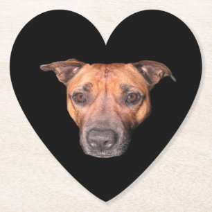 Brown Brindle Staffordshire Bull Terrier Face, Paper Coaster