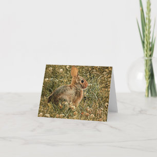 Brown Bunny - Blank Greeting Card