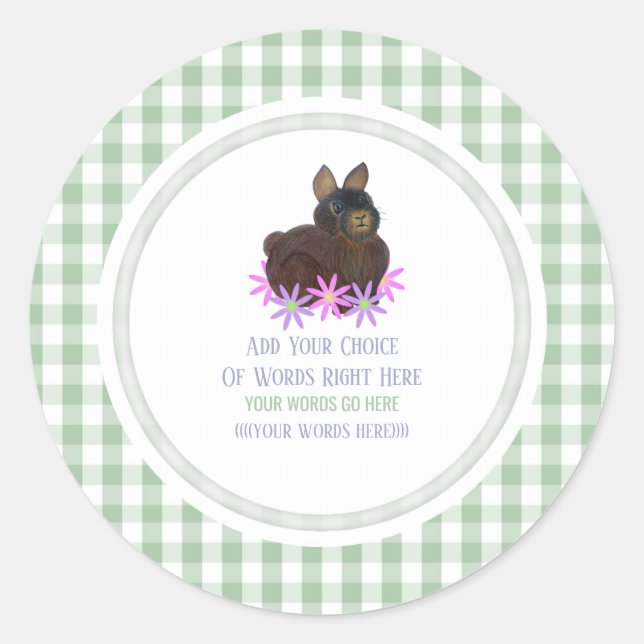Brown Bunny Daisy And Gingham Classic Round Sticker (Front)