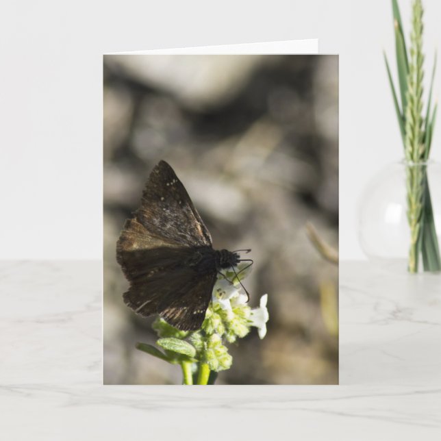 Brown Butterfly Card (Front)
