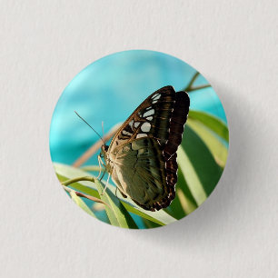 Brown Butterfly Closed Wings 1 Inch Round Button
