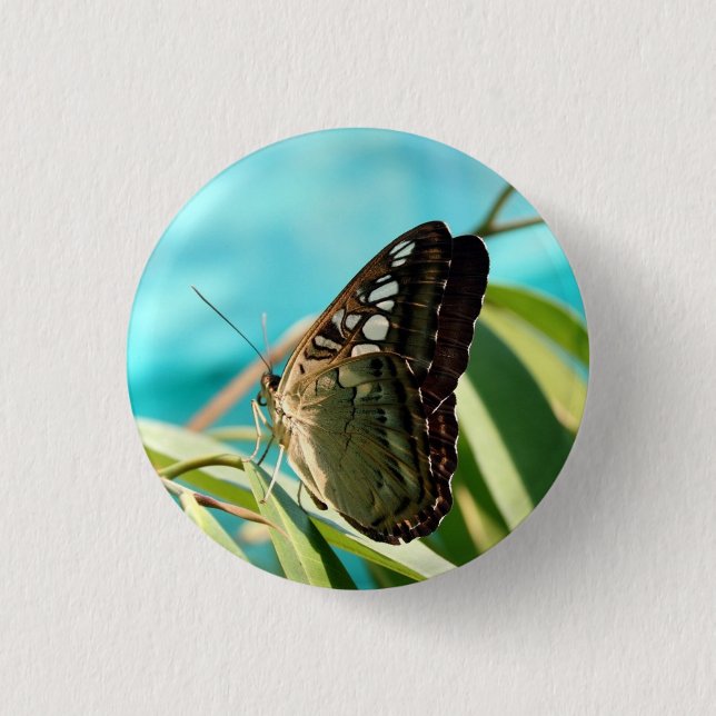 Brown Butterfly Closed Wings 1 Inch Round Button (Front)