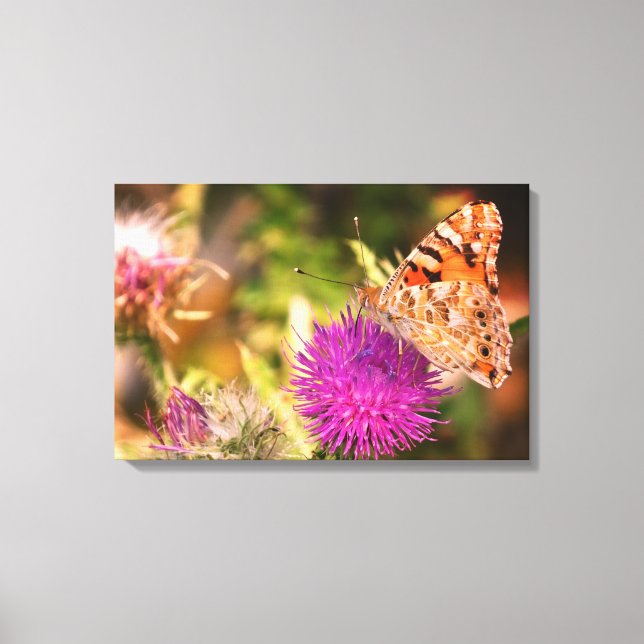 Brown Butterfly Pink  Thorn Photo Canvas Print (Front)