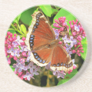 Brown Butterfly with Blue Spots on Lilacs Coaster