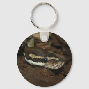 Brown Carpet Python Keychain
