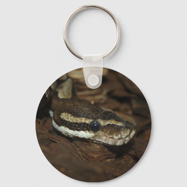 Brown Carpet Python Keychain (Front)