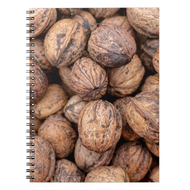 Brown cashew nuts notebook (Front)