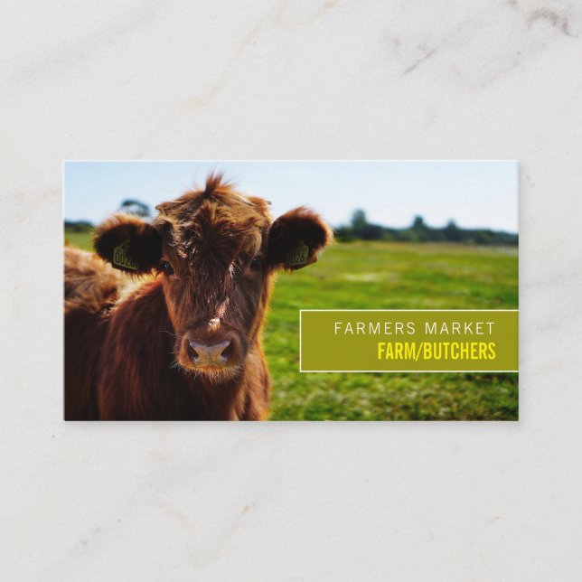 Brown Cattle, Farmer & Butcher Business Card (Front)
