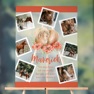 Brown cheval souvenir pops aquarelle photo