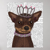 Brown Chihuahua And Tiara