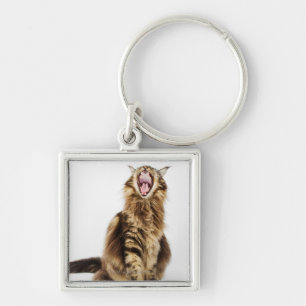 Brown Classic Main Coon Tabby Keychain