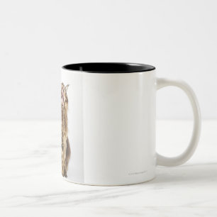 Brown Classic Main Coon Tabby Two-Tone Coffee Mug