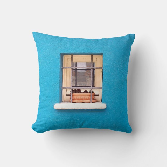 BROWN CLAY POT ON WINDOW THROW PILLOW (Front)