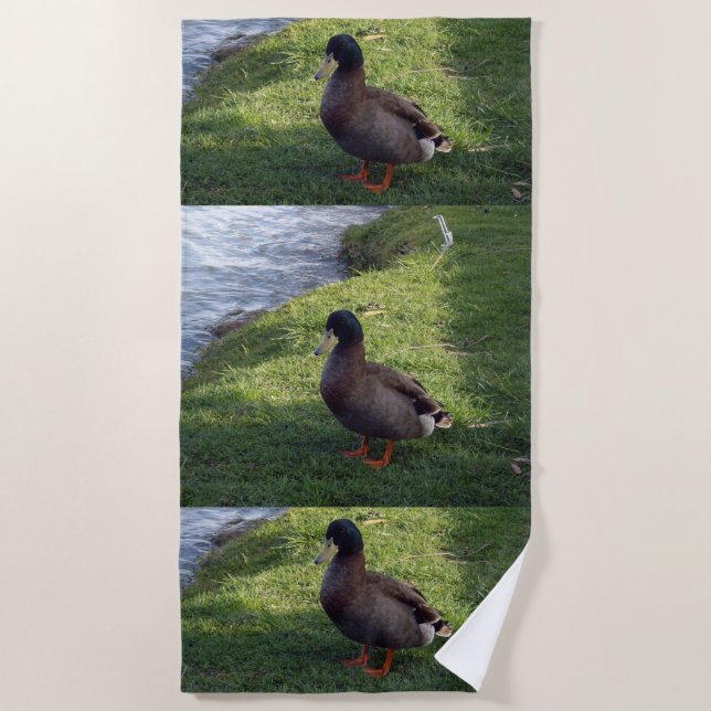 Brown Colourful Duck, Beach Towel (Front)