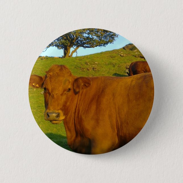 Brown Cow Button (Front)