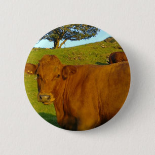 Brown Cow Button