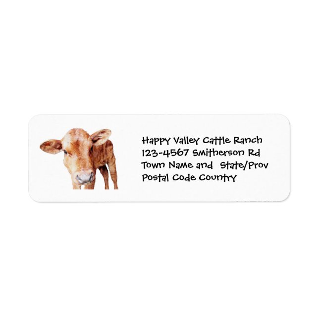 Brown Cow Cattle Farm or Ranch Sticker (Front)