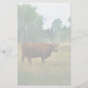 Brown Cow on a Horse and Cattle Ranch Stationery