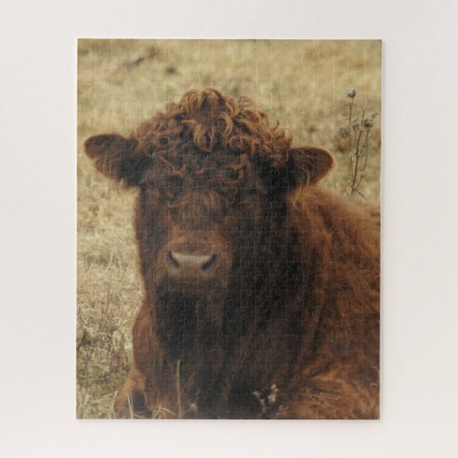 Brown Cow Relaxing on Farm Jigsaw Puzzle (Vertical)