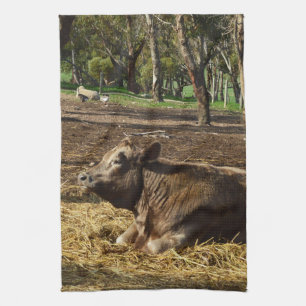 Brown Cow Relaxing On The Farm, Kitchen Towel