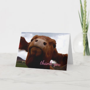 Brown cow Thank you