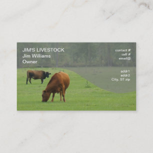 brown cows grazing business card