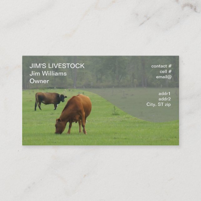 brown cows grazing business card (Front)