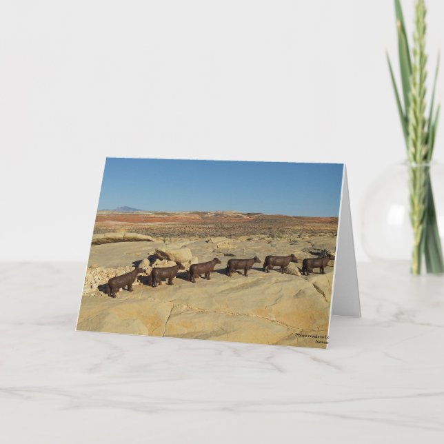 Brown Cows Walking in the Desert Card (Front)