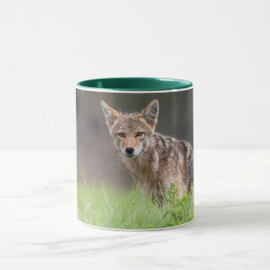 Brown Coyote, Canadian Animal Photography Mug