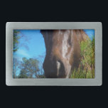 Brown & Cream Coloured Horse blue sky Belt Buckle<br><div class="desc">Brown & Cream Coloured Horse blue sky Photo by Sandy Closs Customize with your own name or text to create a one of a kind gift. "horse lovers""horse gift""horse gift", "gifts for horse lovers ", "i love horses", "brown horse", horse, horses, "horse gifts""farm animals ", pony , ponies""horse lover""horse lovers"...</div>