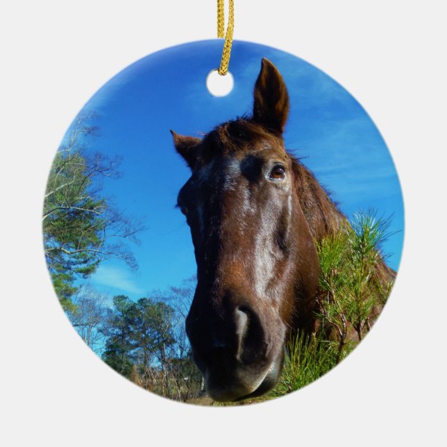 Brown & Cream Coloured Horse blue sky Ceramic Ornament (Front)
