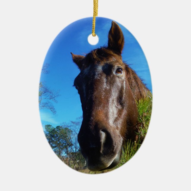 Brown & Cream Coloured Horse blue sky Ceramic Ornament (Front)