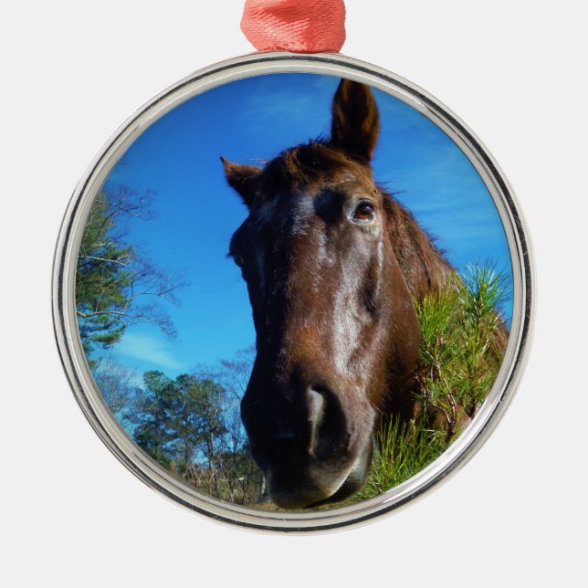 Brown & Cream Coloured Horse blue sky Metal Ornament (Front)
