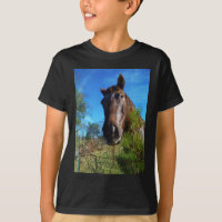 Brown & Cream Coloured Horse blue sky