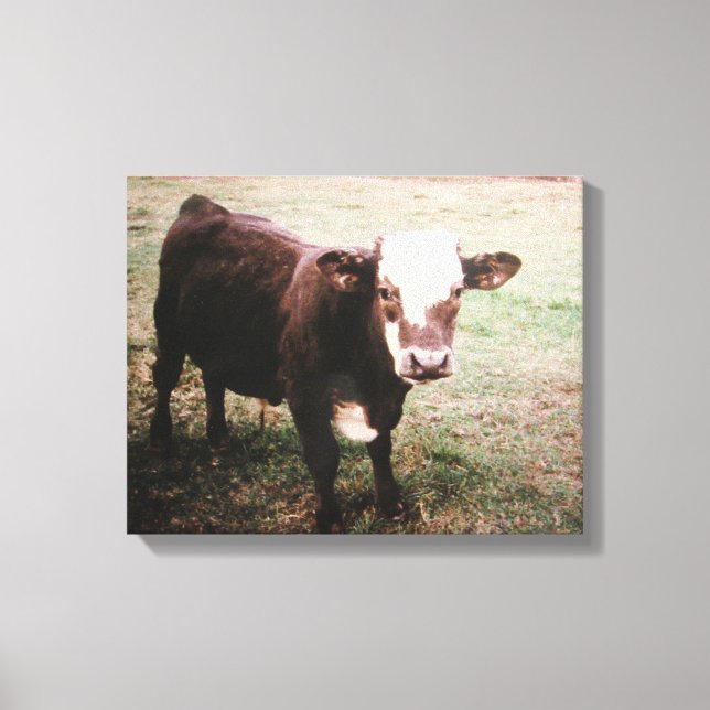 Brown Cream Cow Canvas Print (Front)