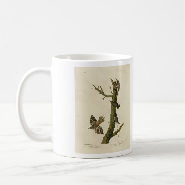 Brown Creeper, Pygmy Nuthatch from Audubon's Birds Coffee Mug (Left)