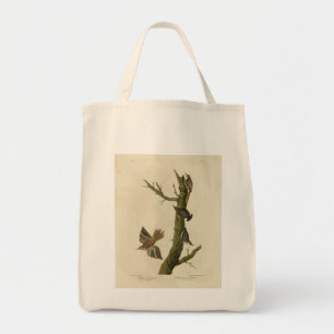 Brown Creeper, Pygmy Nuthatch from Audubon's Birds Tote Bag