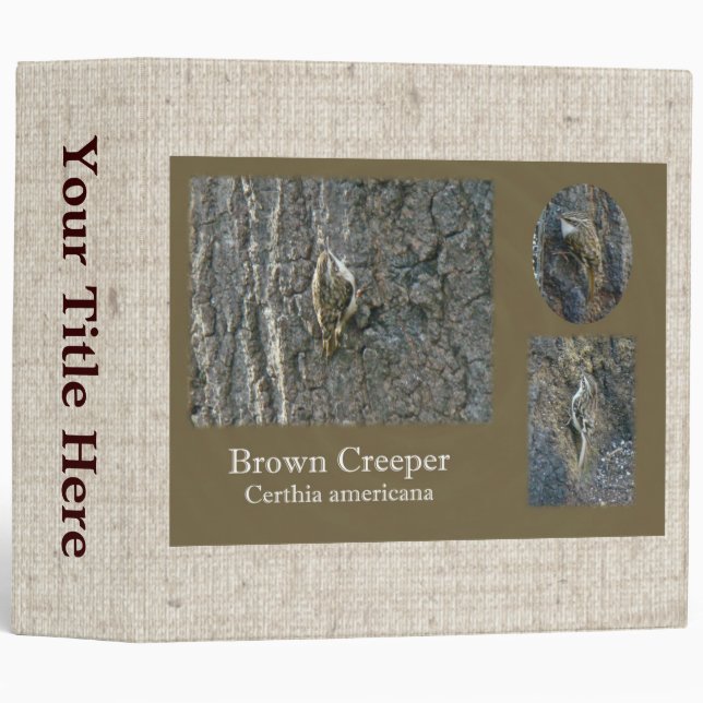 Brown Creeper Songbird Coordinating Items Binder (Front/Spine)