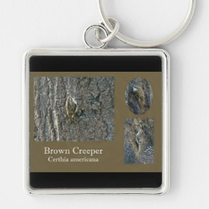 Brown Creeper Songbird Coordinating Items Keychain