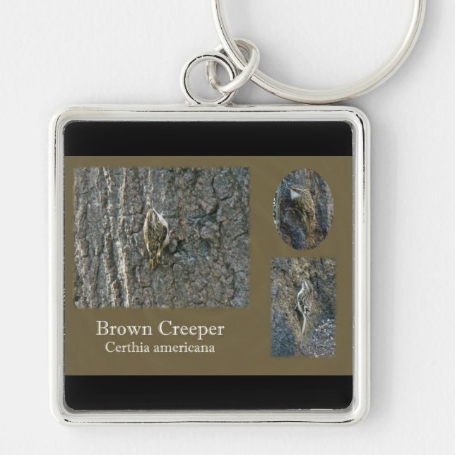 Brown Creeper Songbird Coordinating Items Keychain (Front)