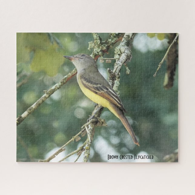 Brown Crested Flycatcher, bird lover's Jigsaw Puzzle (Horizontal)