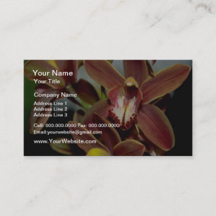 Brown Cymbidium flowers Business Card