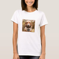 Brown Dachshund Dog With its Eyes Closed